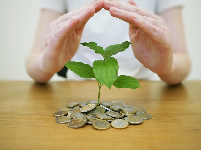 VEȘTI BUNE: Aproape 1.000 de cereri din programul Start-Up Nation au fost eliberate. Antreprenorii își vor recupera fondurile! 1 anunt aproape 1 000 de dosare din start up nation deblocate antreprenorii isi vor primi banii 685c21fcc8586