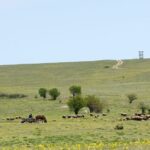 Fosta iubită a fost aproape ucisă pe câmp, însă el nu dorește să ajungă după gratii: decizia judecătorilor este diferită! 3 aproape si a omorat fosta iubita pe camp dar nu mai vrea la inchisoare judecatorii au alta parere 6840d782cfc20