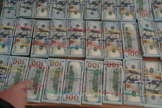 bani ascunsi pe sub haine un cuplu a incercat sa intre in romania cu 14 milioane de dolari nedeclarati 684e9475a72b3