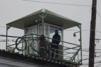 barbati condamnati pentru proxenetism si conducere fara permis prinsi la lumina si ovidiu au ajuns imediat dupa gratii 685284ff818af