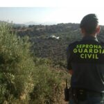 Poveste surprinzătoare din Spania: O grupare de români a fost descoperită odihnindu-se lângă o dubă misterioasă. Descoperă ce se afla la bord! 2 caz inedit in spania mai multi romani au fost gasiti dormind langa o duba vezi ce ce era incarcata 686148614208b