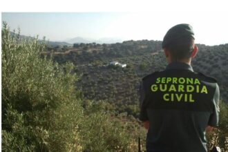 caz inedit in spania mai multi romani au fost gasiti dormind langa o duba vezi ce ce era incarcata 686148614208b