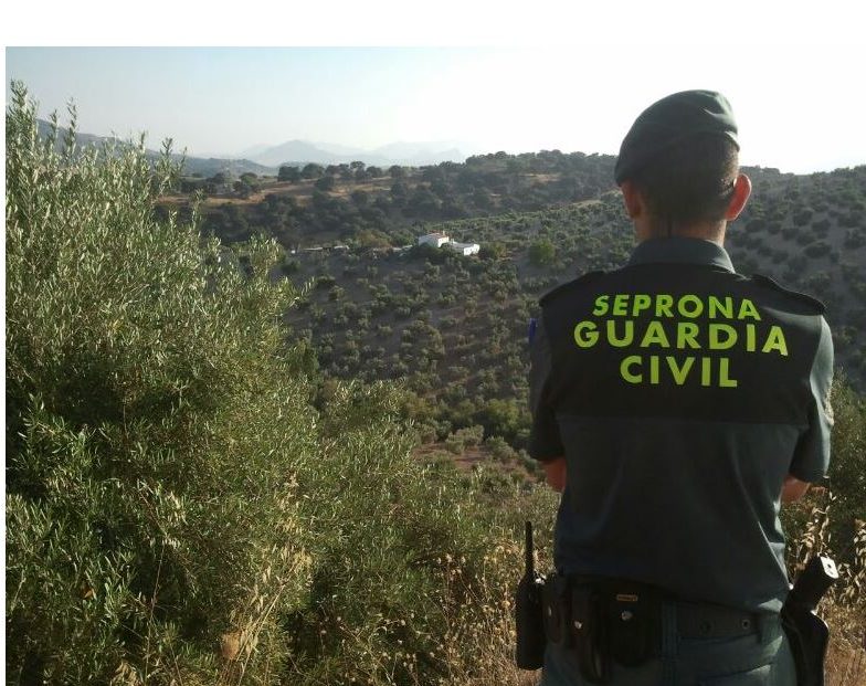 Poveste surprinzătoare din Spania: O grupare de români a fost descoperită odihnindu-se lângă o dubă misterioasă. Descoperă ce se afla la bord! 1 caz inedit in spania mai multi romani au fost gasiti dormind langa o duba vezi ce ce era incarcata 686148614208b