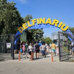 CJC dă startul licitației pentru modernizarea și amenajarea extinderii Delfinariului! 2 cjc a lansat licitatia pentru dotarea extinderii delfinariului 684228f99e87f