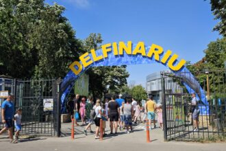 cjc a lansat licitatia pentru dotarea extinderii delfinariului 684228f99e87f