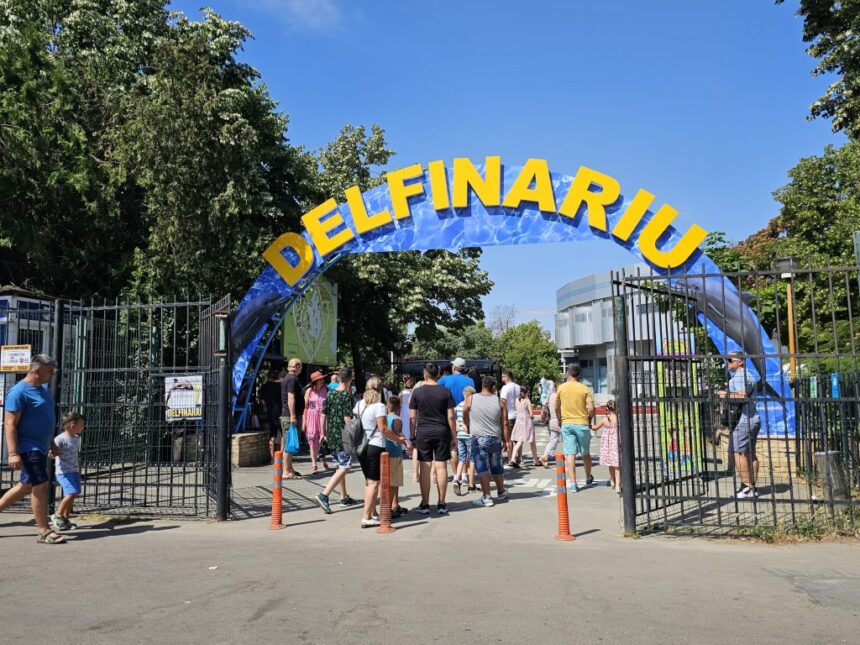 CJC dă startul licitației pentru modernizarea și amenajarea extinderii Delfinariului! 1 cjc a lansat licitatia pentru dotarea extinderii delfinariului 684228f99e87f