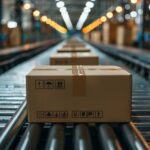 Companiile românești se confruntă cu provocările impuse de giganții asiatici Temu și Shein 2 companiile romanesti resimt puternic concurenta platformelor asiatice temu si shein 6847f0f255590