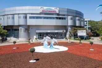 constanta delfinariul se redeschide dupa finalizarea lucrarilor de modernizare a bazinelor spectacolele vor fi reluate de duminica inclusiv cu delfini din ucraina 684d5aa520b2e