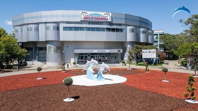 Constanța: Delfinariul își deschide din nou porțile, aducând spectacole captivante cu delfini din Ucraina începând de duminică! 1 constanta delfinariul se redeschide dupa finalizarea lucrarilor de modernizare a bazinelor spectacolele vor fi reluate de duminica inclusiv cu delfini din ucraina 684d5aa520b2e