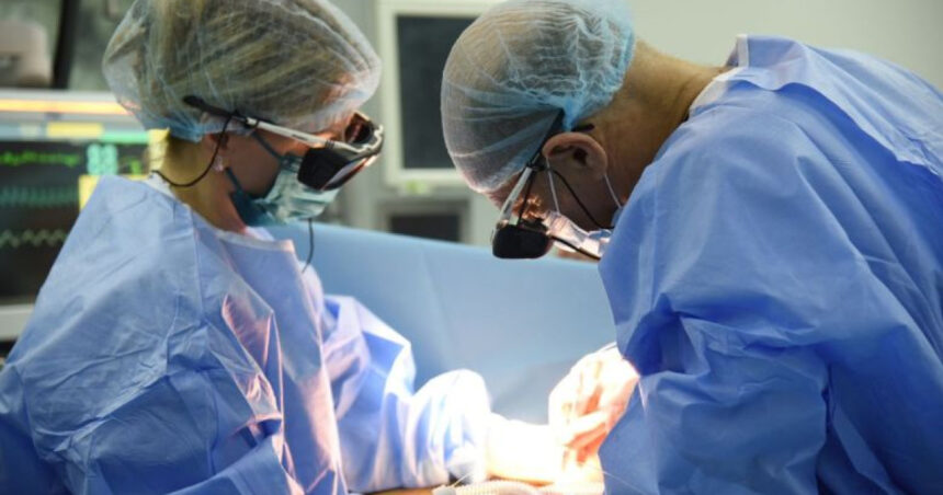 Strategii eficiente pentru combaterea metastazelor la nivelul plămânilor 1 cum se trateaza metastazele pulmonare 684fc6ded33ca