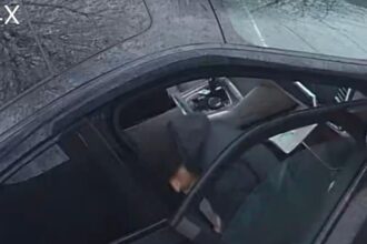 decizie definitiva in dosarul in care un individ care fila afaceristi in toata tara a sustras 70 000 de lei dintr un mercedes parcat in tomis iii 683e266314015