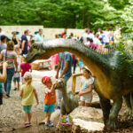 Dino Parc Râșnov dezvăluie un proiect ambițios de 2 milioane de euro! 3 dino parc rasnov anunta o investitie de aproximativ 2 milioane de euro 685275f08e73b