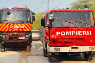 doua incendii de vegetatie uscata in constanta pompierii intervin in zonele aleea universitatii si heliportul smurd 685be9c0030d1