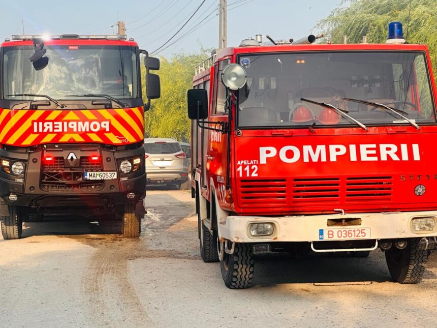 Flăcări devastatoare în Constanța: Pompierii acționează în Aleea Universității și la heliportul SMURD pentru a înfrunta incendiile de vegetație uscată 1 doua incendii de vegetatie uscata in constanta pompierii intervin in zonele aleea universitatii si heliportul smurd 685be9c0030d1