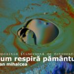 "Imagini din Lumea Filmului: Dan Mihalcea își prezintă arta la Delfinariu" 3 expozitie de fotografie a regizorului dan mihalcea la delfinariu 684f5b6adfbdc