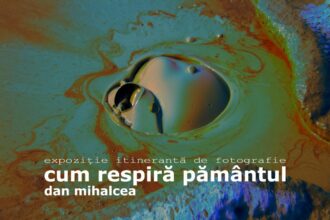 expozitie de fotografie a regizorului dan mihalcea la delfinariu 684f5b6adfbdc