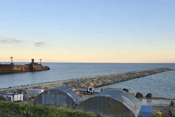 femeia moarta gasita intre stabilopozii din costinesti identificata o fosta angajata de la protectia copilului 683fdec97fa61