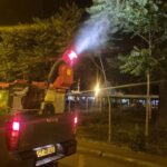 Dezinsecția în plină desfășurare în Constanța și Mamaia! 2 foto actiunile de dezinsectie continua in municipiul constanta si statiunea mamaia 685bc34ce9525