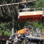Trenurile dintre Sinaia și Bușteni revin pe traseu după ce o creangă a blocat calea ferată, cu un total de 2.106 minute de întârzieri acumulate. 2 foto circulatia trenurilor intre sinaia busteni reluata dupa ce un copac a cazut pe linia de contact 2 106 minute de intarziere cumulate 686226891339c