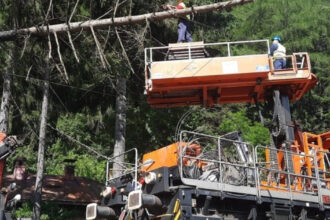 foto circulatia trenurilor intre sinaia busteni reluata dupa ce un copac a cazut pe linia de contact 2 106 minute de intarziere cumulate 686226891339c