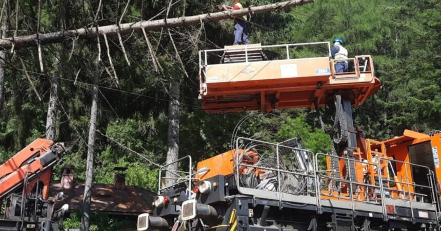 Trenurile dintre Sinaia și Bușteni revin pe traseu după ce o creangă a blocat calea ferată, cu un total de 2.106 minute de întârzieri acumulate. 1 foto circulatia trenurilor intre sinaia busteni reluata dupa ce un copac a cazut pe linia de contact 2 106 minute de intarziere cumulate 686226891339c