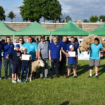 Luptele Tătărești de la Medgidia: Tinerii învingători ai competiției de Kureș! 3 foto ei sunt castigatorii competitiei de kures de la medgidia zeci de tineri au participat la traditionalele lupte tataresti 6857a4661a3d8