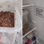 Dezastru în piața Tomis III din Constanța: Haos și murdărie într-un loc de vânzare a produselor alimentare în condiții precare 2 foto jale in piata tomis iii din constanta mizerie si haos intr un spatiu alimentar unde se vinde suberec 6852cb525d100