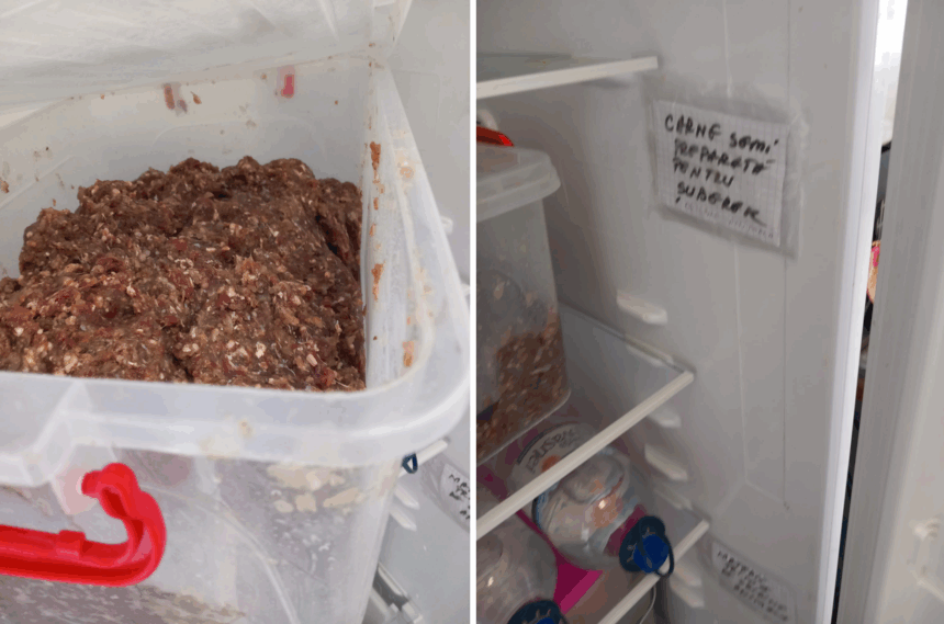 Dezastru în piața Tomis III din Constanța: Haos și murdărie într-un loc de vânzare a produselor alimentare în condiții precare 1 foto jale in piata tomis iii din constanta mizerie si haos intr un spatiu alimentar unde se vinde suberec 6852cb525d100