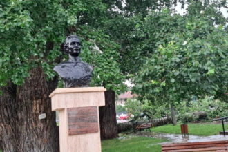 foto unul dintre copacii care l au inspirat pe mihai eminescu a cazut in iasi interventie de urgenta a isu 6849ae6f42ed9