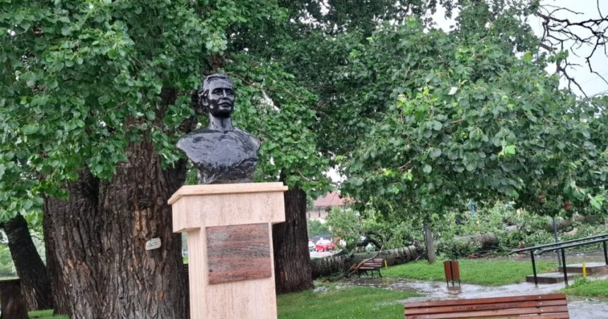Unul dintre copacii care l-au inspirat pe Mihai Eminescu s-a prăbușit în Iași. Intervenție promptă din partea ISU. 1 foto unul dintre copacii care l au inspirat pe mihai eminescu a cazut in iasi interventie de urgenta a isu 6849ae6f42ed9