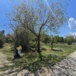 Imagini din Parcul Tăbăcărie: Cum arată locul tragic unde un tânăr de 16 ani și-a pus capăt zilelor, iar trecătorii au răscolit deșeurile. 3 foto video cum arata acum zona din parcul tabacarie in care s a spanzurat tanarul de 16 ani oamenii au scormonit in tomberonul de gunoi 683ecca0b0674