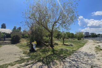 foto video cum arata acum zona din parcul tabacarie in care s a spanzurat tanarul de 16 ani oamenii au scormonit in tomberonul de gunoi 683ecca0b0674