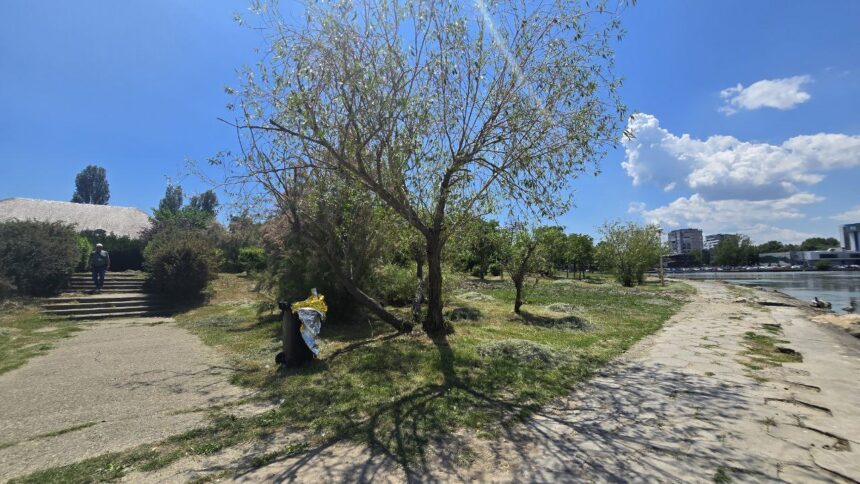 Imagini din Parcul Tăbăcărie: Cum arată locul tragic unde un tânăr de 16 ani și-a pus capăt zilelor, iar trecătorii au răscolit deșeurile. 1 foto video cum arata acum zona din parcul tabacarie in care s a spanzurat tanarul de 16 ani oamenii au scormonit in tomberonul de gunoi 683ecca0b0674