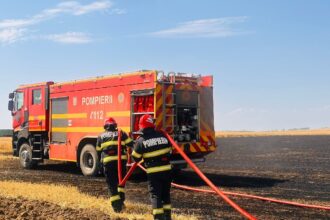 foto video incendiu la o cultura de orz langa agighiol din judetul tulcea 10 hectare afectate din cauza unei tigari aruncate la intamplare 685ab7f873062