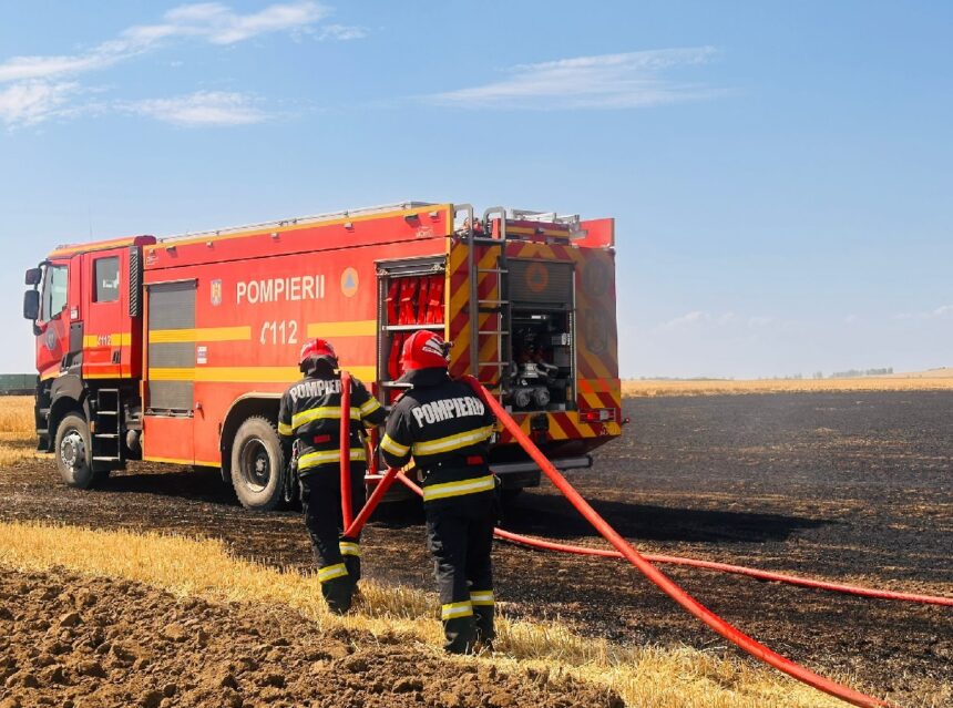 Flăcări devastatoare pe câmpurile de orz de lângă Agighiol, Tulcea: 10 hectare distruse din cauza unei țigări aruncate fără grijă 1 foto video incendiu la o cultura de orz langa agighiol din judetul tulcea 10 hectare afectate din cauza unei tigari aruncate la intamplare 685ab7f873062