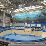 Veste încântătoare! Finalizarea lucrărilor la Delfinariul din Constanța se apropie de final. Descoperă aspectul actual al bazinelelor și află data primului spectacol! 2 foto video vesti bune lucrarile la delfinariul din constanta pe ultima suta de metri cum arata acum bazinele si cand are loc primul spectacol 6848660262cc7