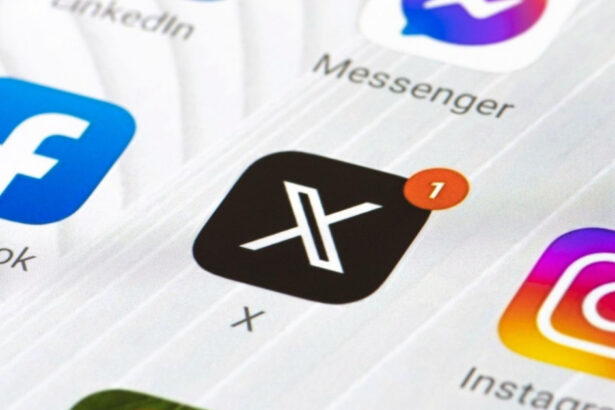 franta analizeaza clasificarea platformei x a lui elon musk drept site pentru adulti si impunerea controlului varstei 684ef76157559