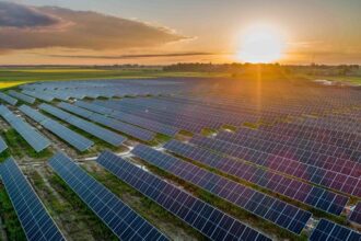 frauda de peste 2 milioane lei cu panouri fotovoltaice identificata de inspectorii antifrauda la o societate constanteana 68553c0cbcf9c