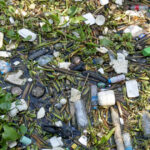 Garda de Mediu a efectuat verificări în majoritatea localităților din țară: „Reciclarea deșeurilor a înregistrat o scădere, contrar așteptărilor” 2 garda de mediu a controlat aproape toate localitatile din tara gradul de reciclare a deseurilor a scazut in loc sa creasca 6853a649a650b