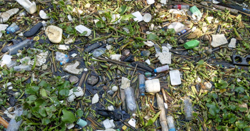 Garda de Mediu a efectuat verificări în majoritatea localităților din țară: „Reciclarea deșeurilor a înregistrat o scădere, contrar așteptărilor” 1 garda de mediu a controlat aproape toate localitatile din tara gradul de reciclare a deseurilor a scazut in loc sa creasca 6853a649a650b