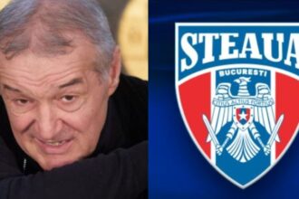 gigi becali a taxat o pe steaua de ce sa fie aberatie csa a facut licitatie s a facut hotarare de guvern 685f0e38c2f36