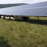 CUM DE PERSOANELE PROSUMATOARE GENEREAZĂ MAI MULTĂ ENERGIE DECÂT MARILE PARCURI ENERGETICE, CHIAR ȘI CU CAPACITĂȚI COMPARABILE? 2 grafice de ce produc prosumatorii mai multa energie decat marile parcuri comerciale desi au capacitati instalate similare 683e81c151ec2