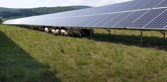 CUM DE PERSOANELE PROSUMATOARE GENEREAZĂ MAI MULTĂ ENERGIE DECÂT MARILE PARCURI ENERGETICE, CHIAR ȘI CU CAPACITĂȚI COMPARABILE? 1 grafice de ce produc prosumatorii mai multa energie decat marile parcuri comerciale desi au capacitati instalate similare 683e81c151ec2