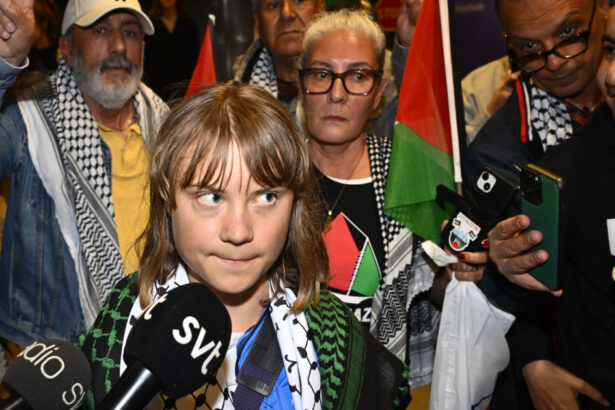 greta thunberg a fost torturata de israelieni cu cantece pentru copii inainte de a fi deportata in suedia 68496eacf1228