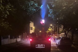 in ce zone din constanta si mamaia au loc actiunile de dezinsectie 685183a05a9b2