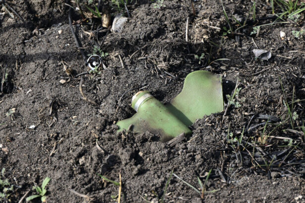 inca o tara din europa se retrage din tratatul care interzice minele terestre antipersonal avem ca tara vecina un stat agresiv 6853ec87a2891