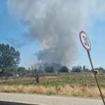Flăcări devastatoare în vegetația uscată din apropierea Celsy, pe drumul spre Ovidiu, și în zona RO-RO, între Agigea și Eforie 2 incendii de vegetatie uscata in zonele celsy la iesire din ovidiu si ro ro intre agigea si eforie 68568e9a8b244