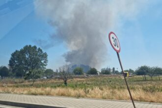 incendii de vegetatie uscata in zonele celsy la iesire din ovidiu si ro ro intre agigea si eforie 68568e9a8b244
