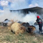 Flăcări și curaj la Chirnogeni: pompierii intervin prompt pentru a stinge incendiul de baloți 3 incendiu de baloti la chirnogeni interventie rapida a pompierilor 6857f1ba33867