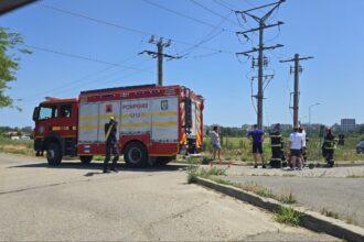incendiu de vegetatie la iesirea din constanta in zona dn2a soferii au intervenit cu extinctoare pana la sosirea pompierilor 68401e14a85f7